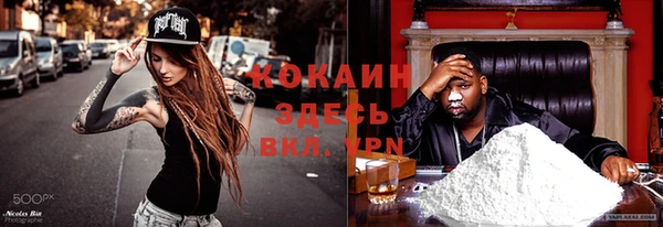 прущие грибы Алексин
