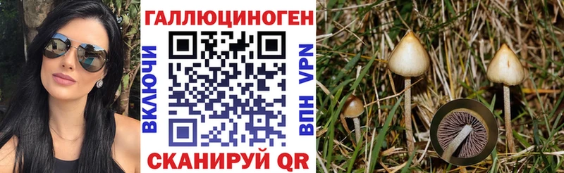 где купить hydra Псилоцибиновые грибы ЛСД Обоянь